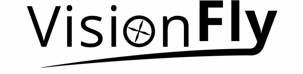 VisionFly UG - Logo 960x960 Graustufen
